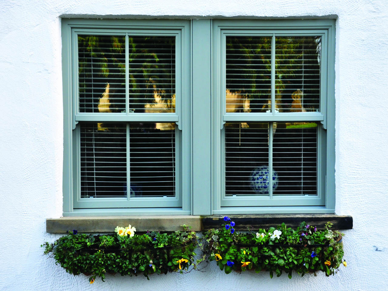 green sliding sash windows